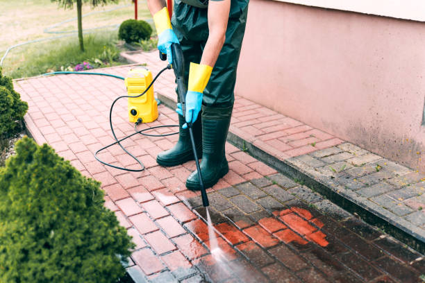 Best Graffiti Removal  in Nevada, MO